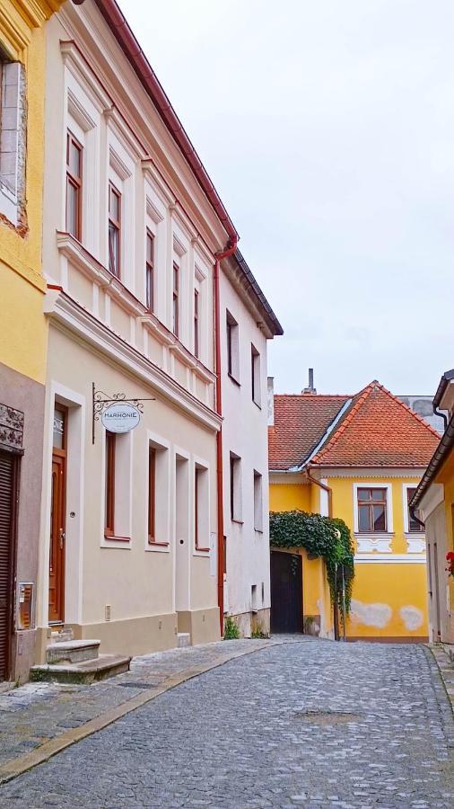 Penzion Harmonie Trhove Sviny Exterior photo